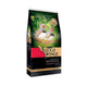 Gold Wings Premium Bülbül Yemi 1Kg