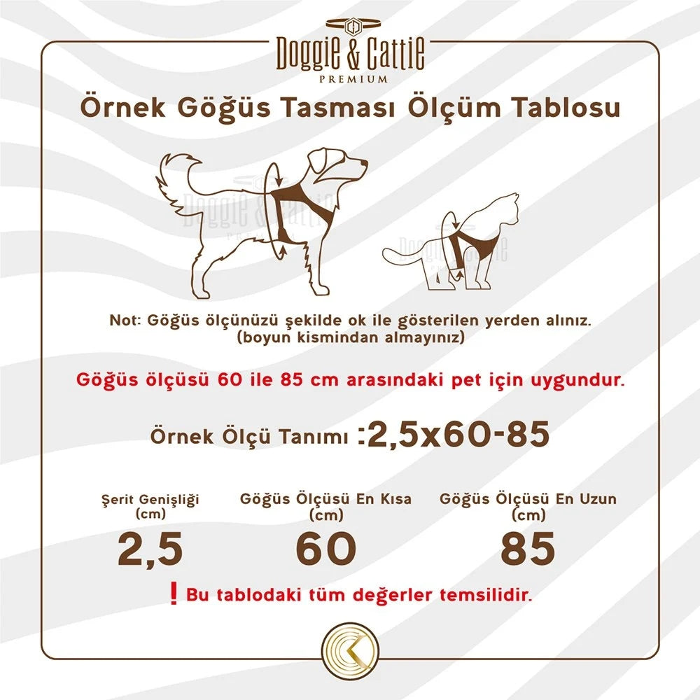 Cattie Kedi Göğüs & Gezdirme Takımı Siyah 1X25-40Cm