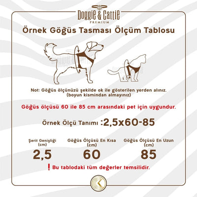 Cattie Kedi Göğüs & Gezdirme Takımı Siyah 1X25-40Cm