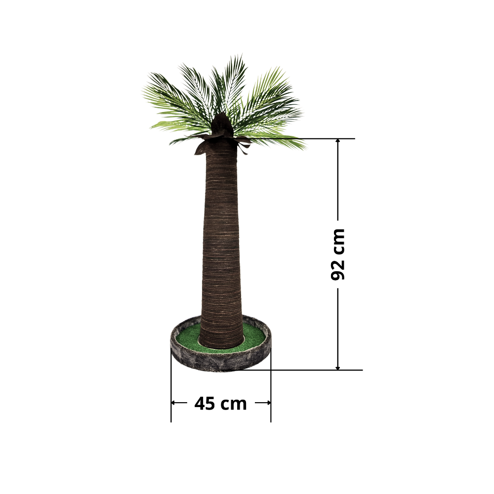 Lotus Palmiye Kedi Tırmalaması