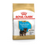 Royal Canin Yorkshire Terrier Junior 1.5 Kg Yavru Kuru Köpek Maması