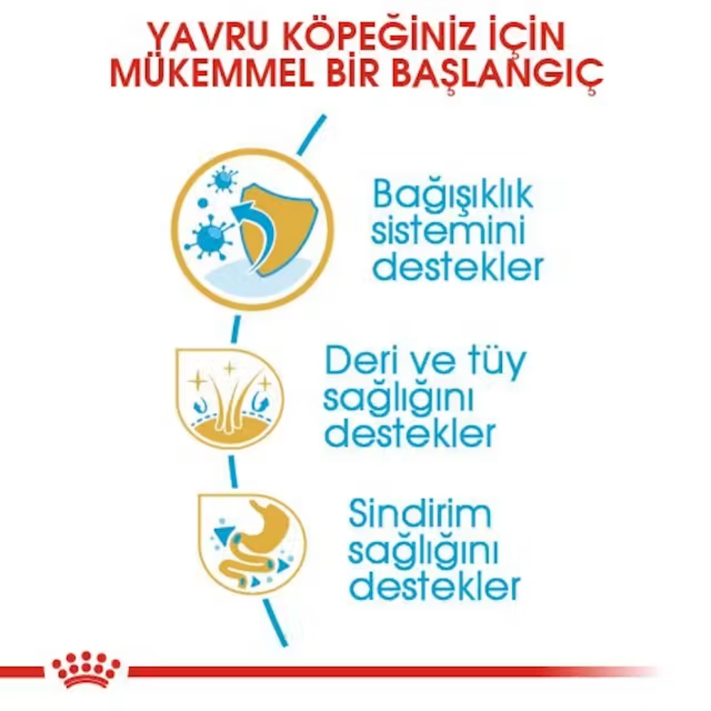 Royal Canin Yorkshire Terrier Junior 1.5 Kg Yavru Kuru Köpek Maması