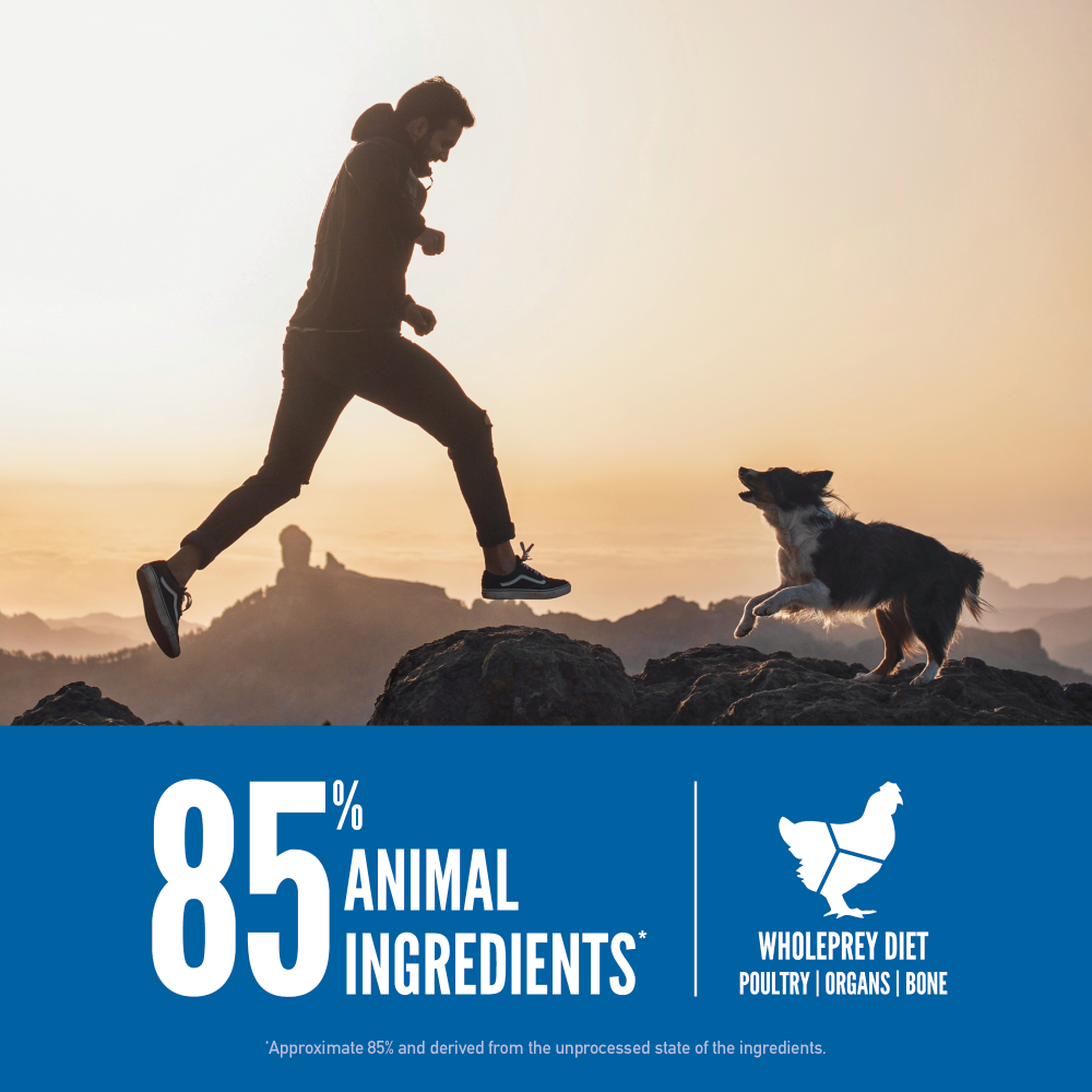 Orijen Original Köpek Maması 2 Kg - Yetişkin Köpek Maması