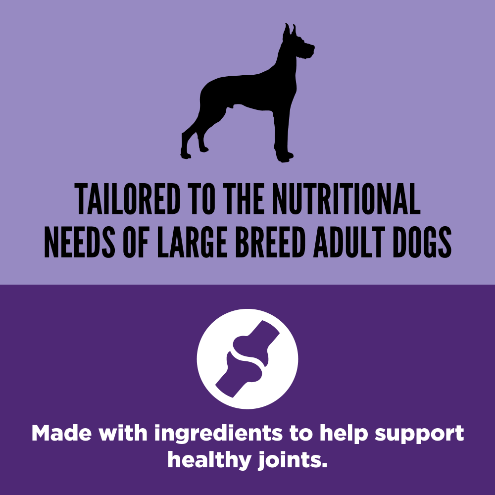 Orijen Adult Large Breed Dog 11,4 kg- Büyük Irk Yetişkin Köpekler için