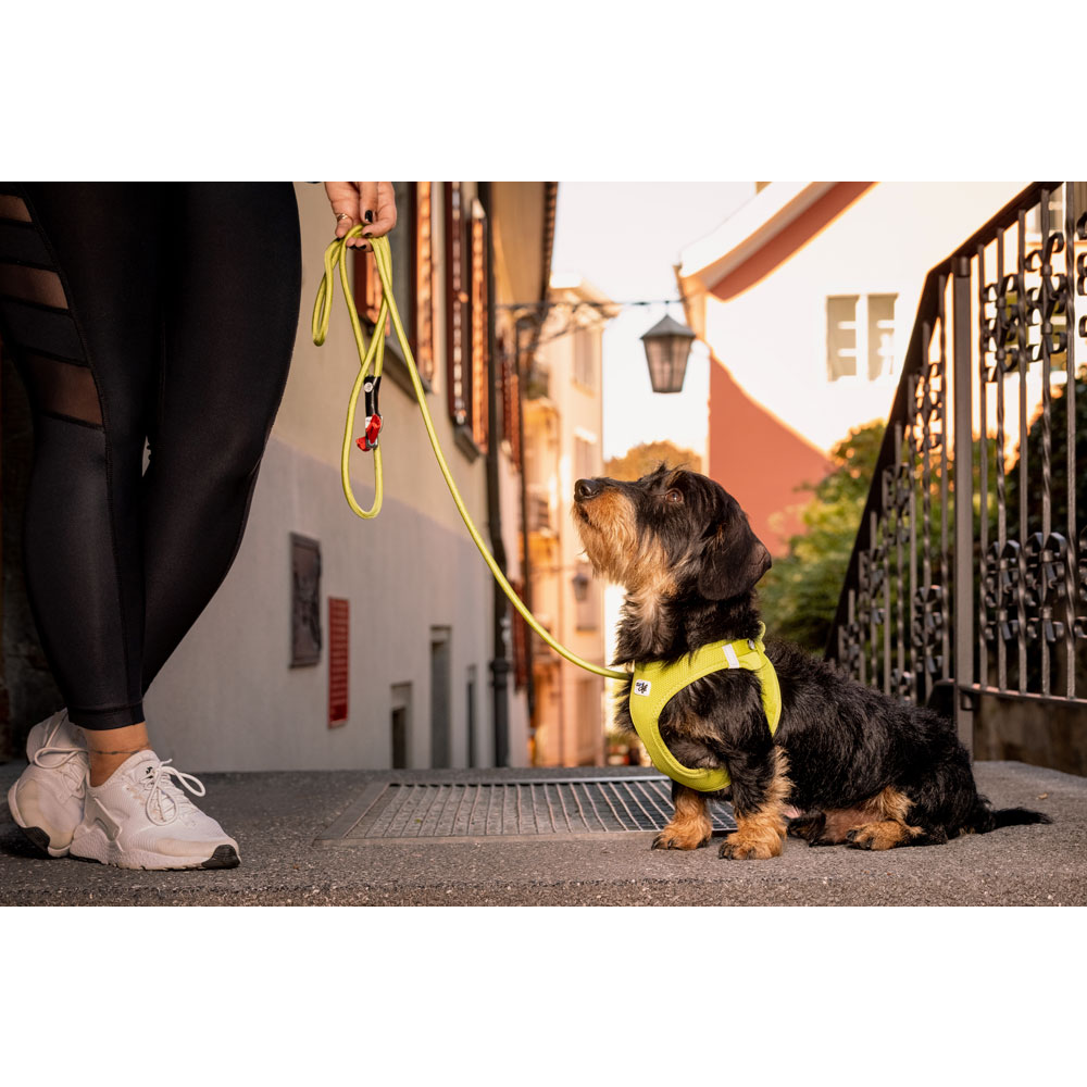 Curli Vest Harness Curli Clasp Air-Mesh Black 2XS