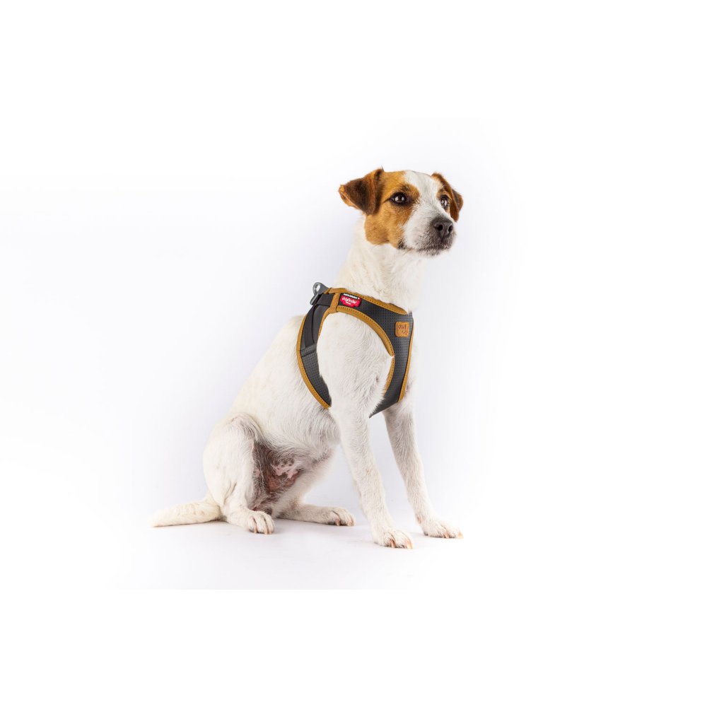 Curli Apple Leather Harness Black S