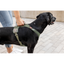Curli Belka Harness Air-Mesh Black 3XL