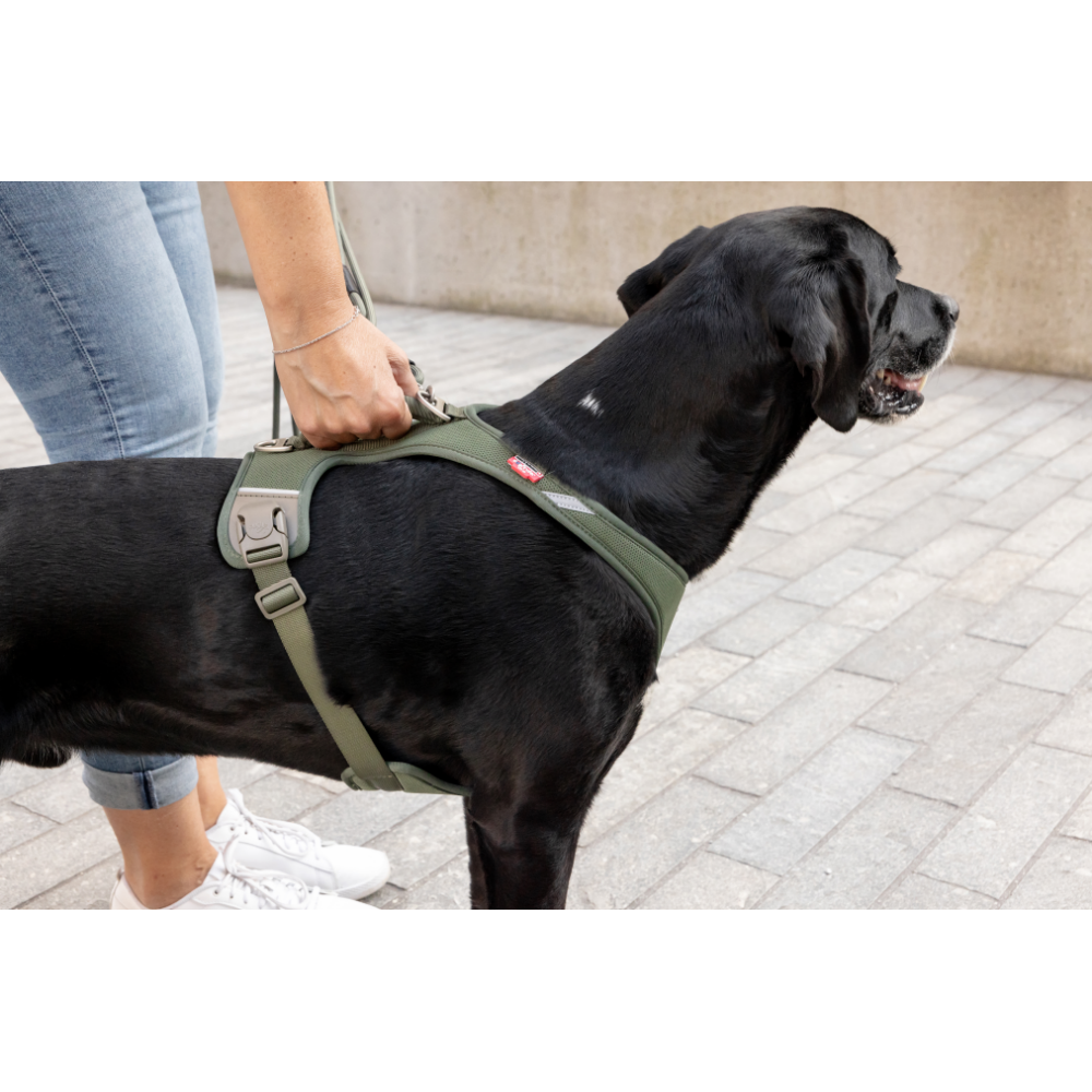 Curli Belka Harness Air-Mesh Ruby 2XL