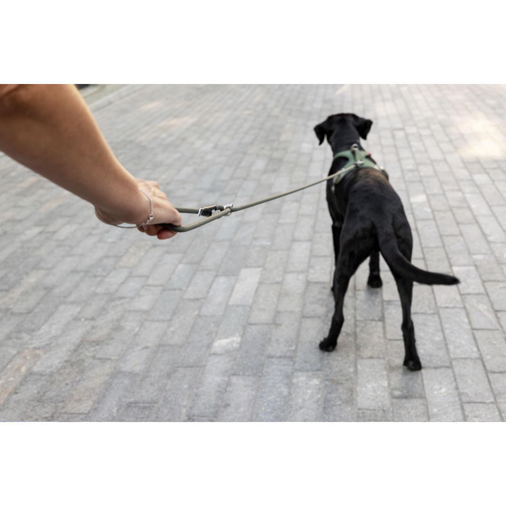 Curli Vario Comfort Leash Black S