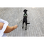 Curli Vario Comfort Leash Black S