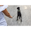 Curli Vario Comfort Leash Red S