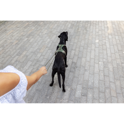 Curli Vario Comfort Leash Ruby L
