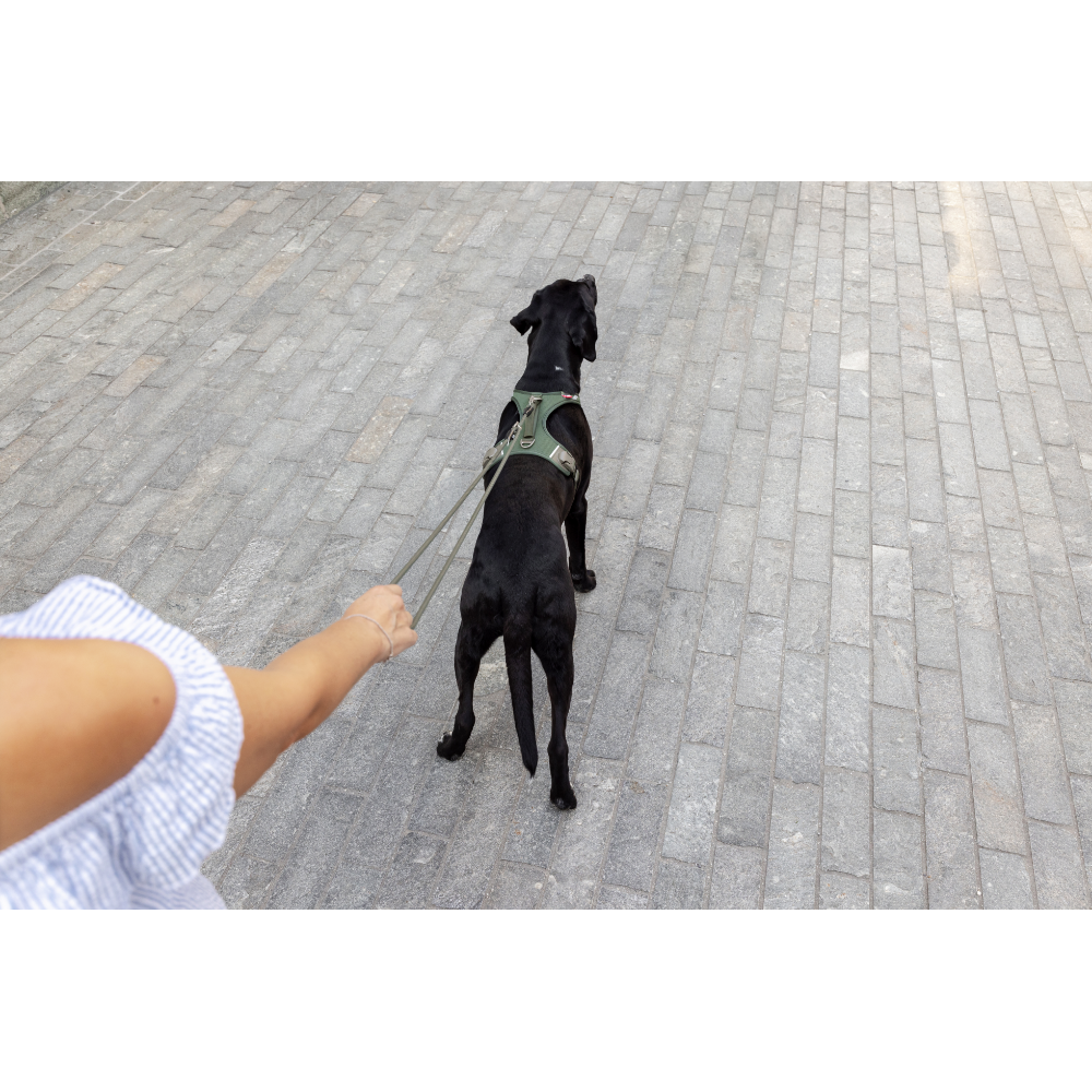 Curli Vario Comfort Leash Blue L