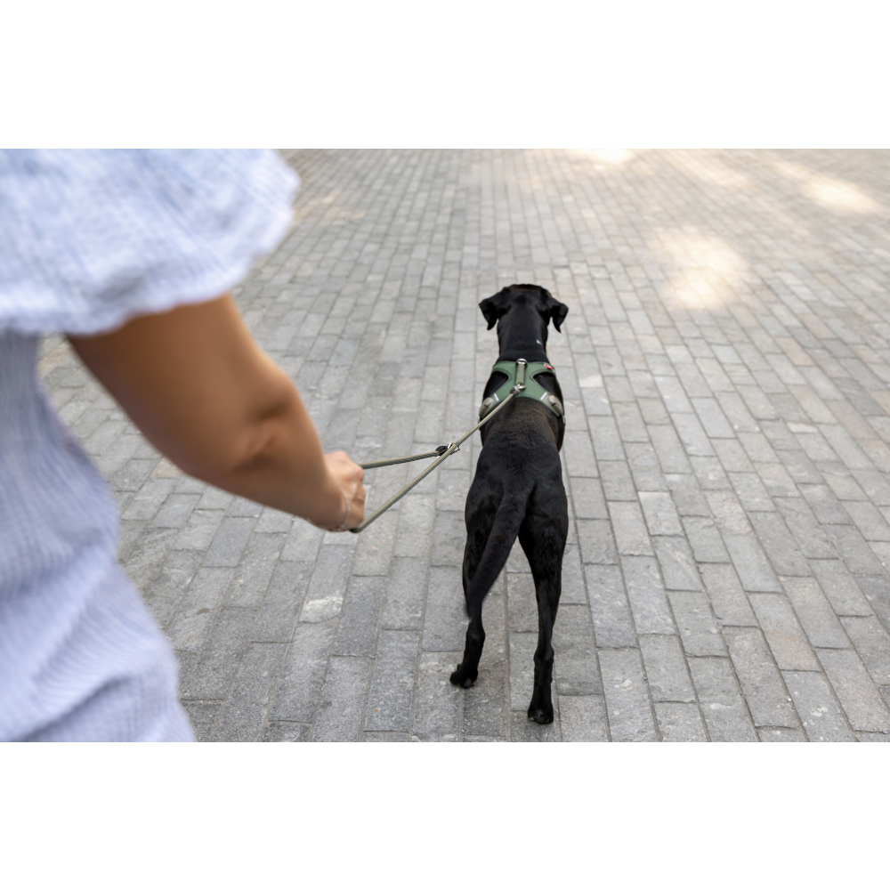 Curli Vario Comfort Leash Blue L