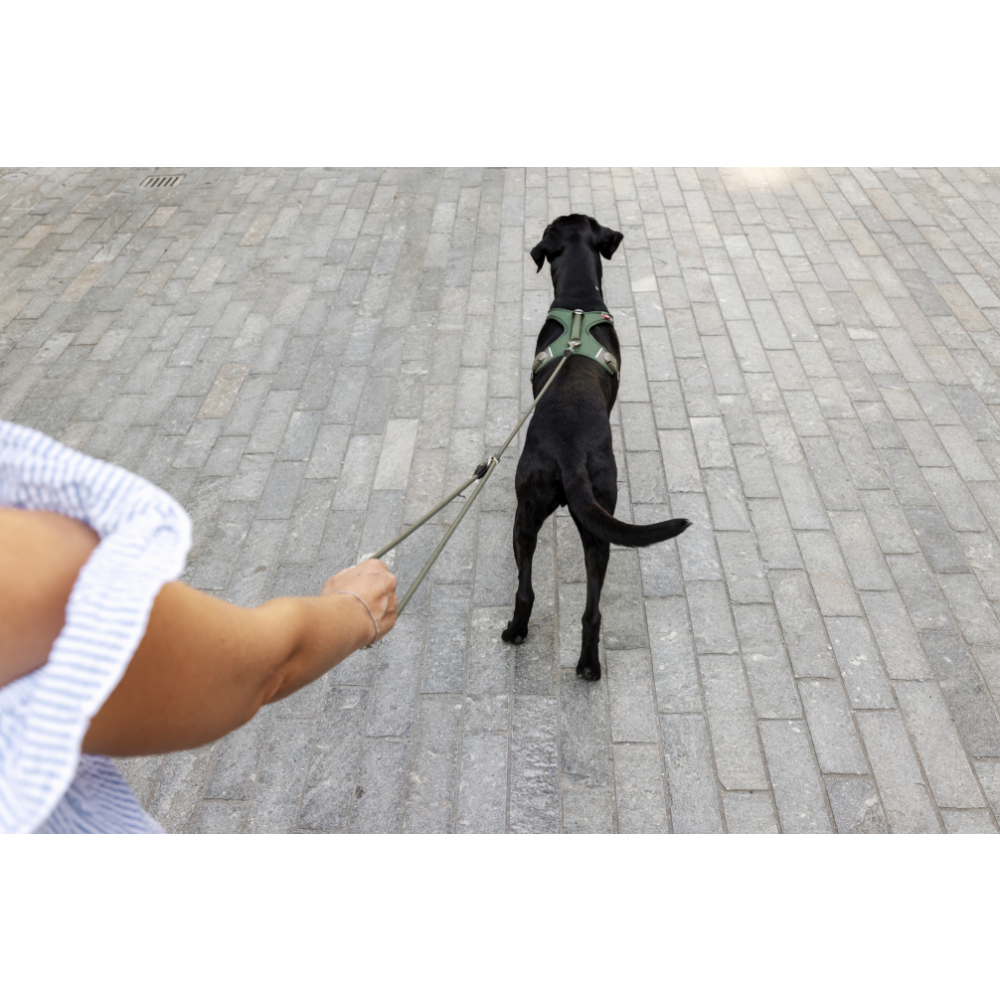 Curli Vario Comfort Leash Light-Tan S