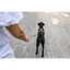 Curli Vario Comfort Leash Light-Tan S