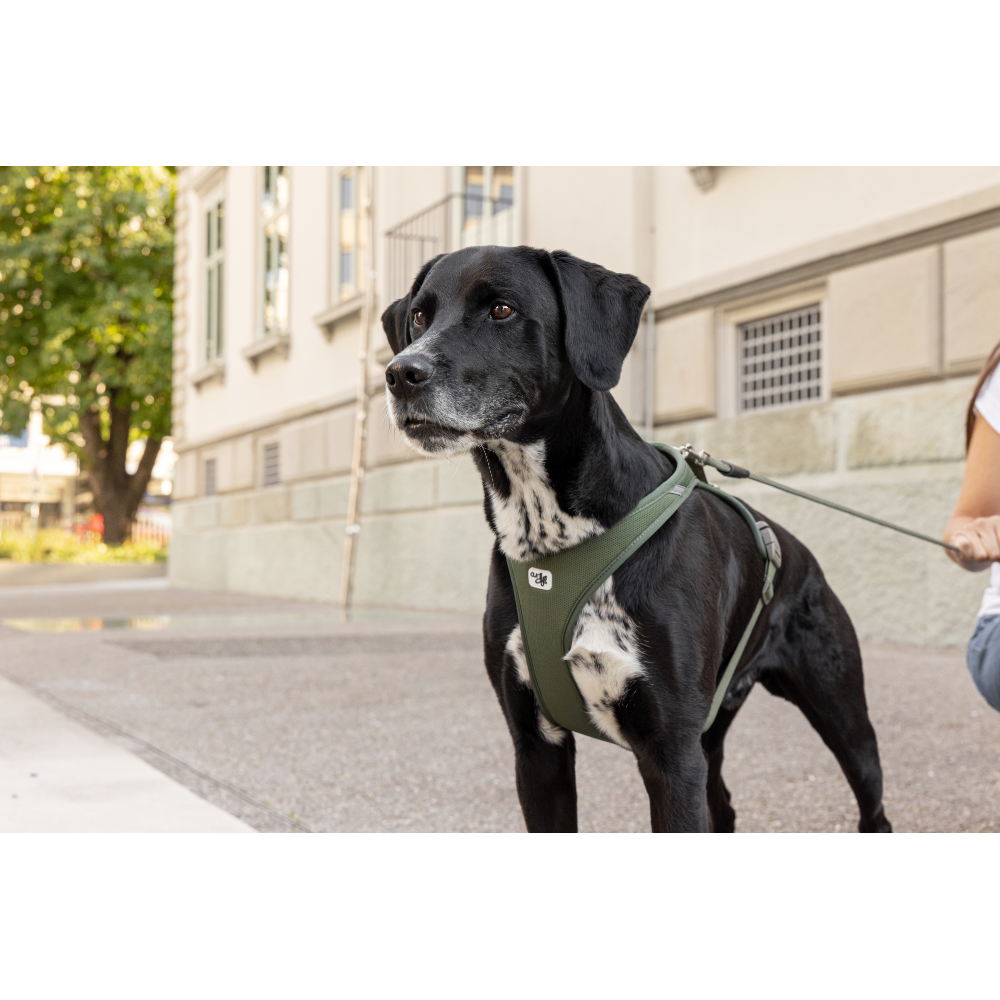 Curli Vario Comfort Leash Light-Tan S