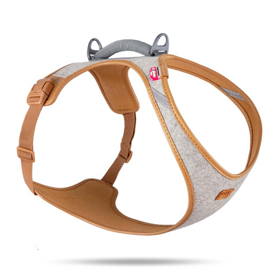 Curli Alpıne Belka Harness Gray 3XL