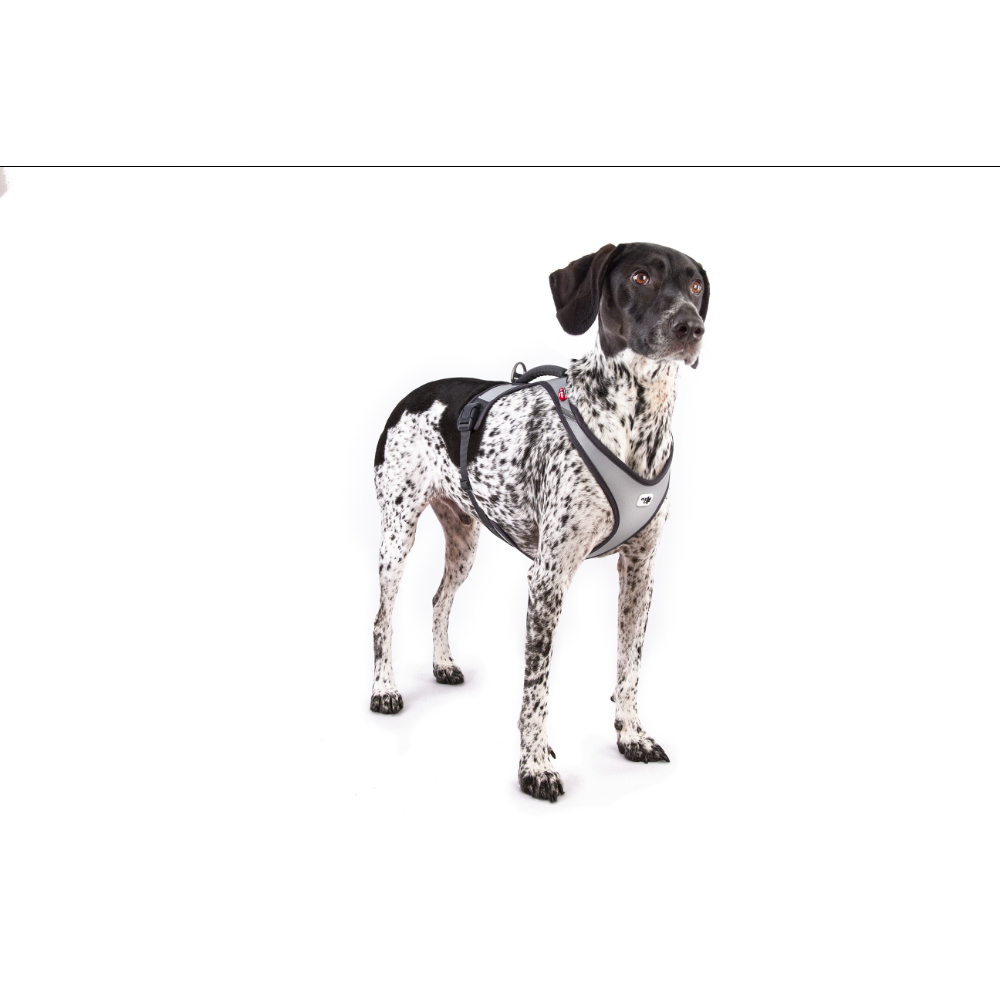 Curli Glow Belka Harness Gray 3XL