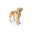 Curli Glow Belka Harness Gray 3XL