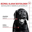 Royal Canin Bağışıklık ve Sindirim Sistemi Destekleyici Yavru Köpek Ödül Maması 100gr