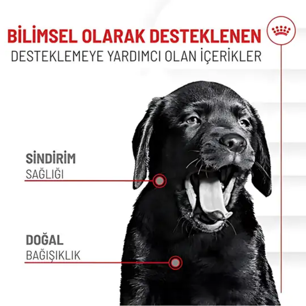 Royal Canin Bağışıklık ve Sindirim Sistemi Destekleyici Yavru Köpek Ödül Maması 100gr