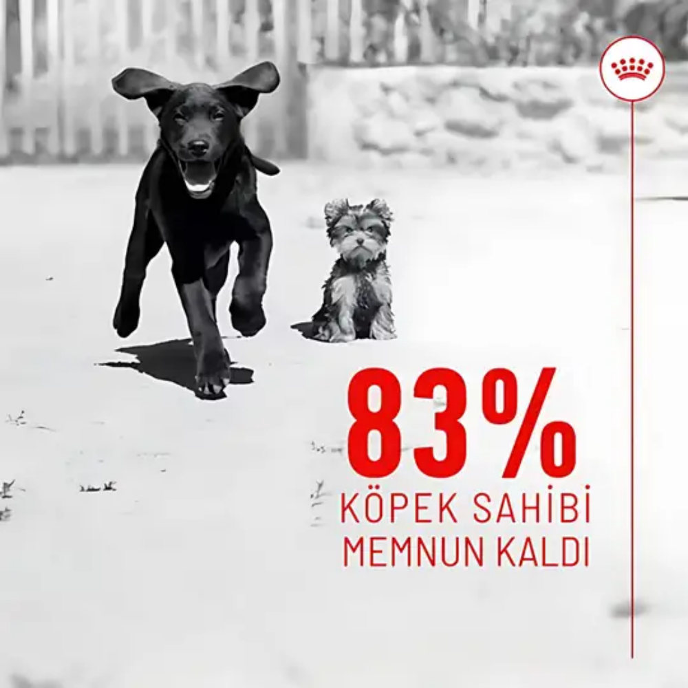 Royal Canin Bağışıklık ve Sindirim Sistemi Destekleyici Yavru Köpek Ödül Maması 100gr