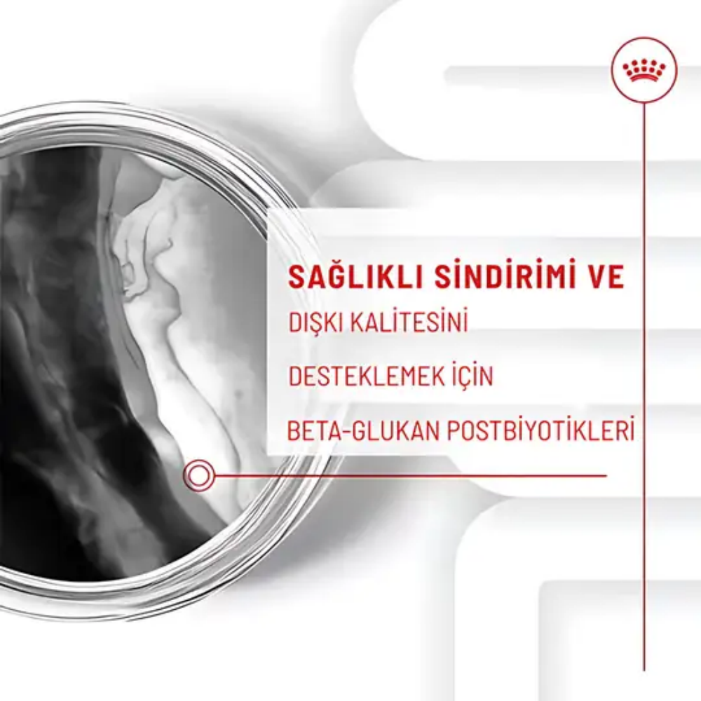 Royal Canin Bağışıklık ve Sindirim Sistemi Destekleyici Yavru Köpek Ödül Maması 100gr