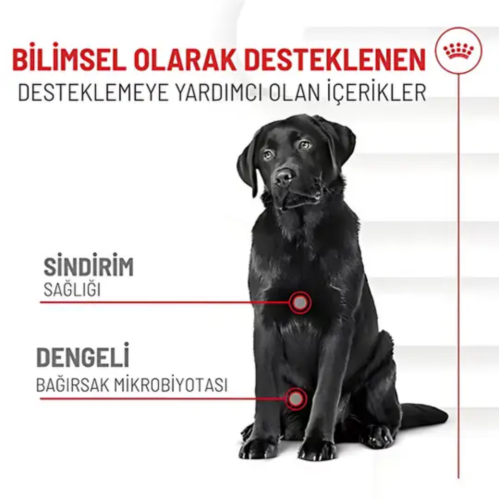 Royal Canin Sindirim Sistemi Destekli Yetişkin Köpek Ödül Maması 160gr