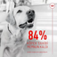 Royal Canin Sindirim Sistemi Destekli Yetişkin Köpek Ödül Maması 160gr