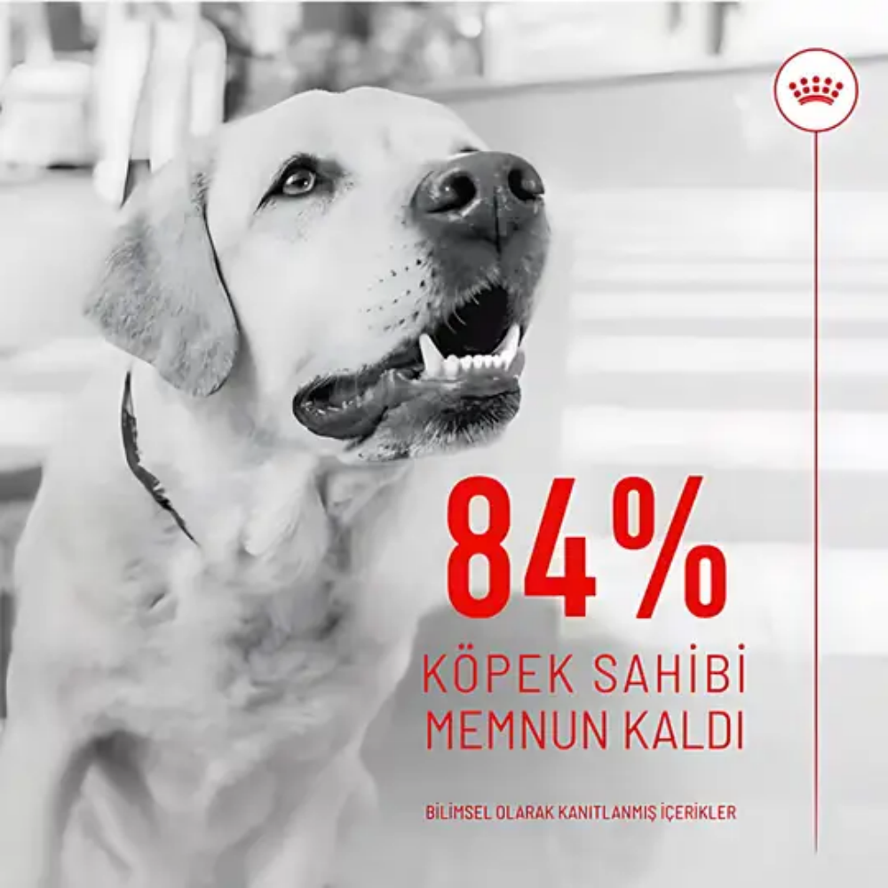 Royal Canin Sindirim Sistemi Destekli Yetişkin Köpek Ödül Maması 160gr