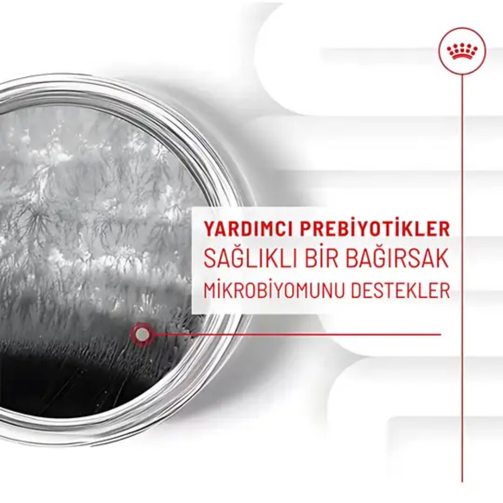 Royal Canin Sindirim Sistemi Destekli Yetişkin Köpek Ödül Maması 160gr