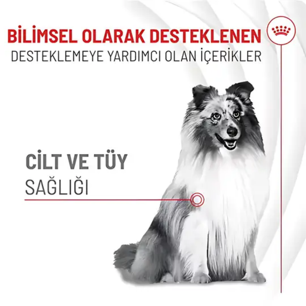 Royal Canin Deri ve Tüy Sağlığı Destekleyici Yetişkin Köpek Ödül Maması 240gr