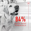 Royal Canin Deri ve Tüy Sağlığı Destekleyici Yetişkin Köpek Ödül Maması 240gr