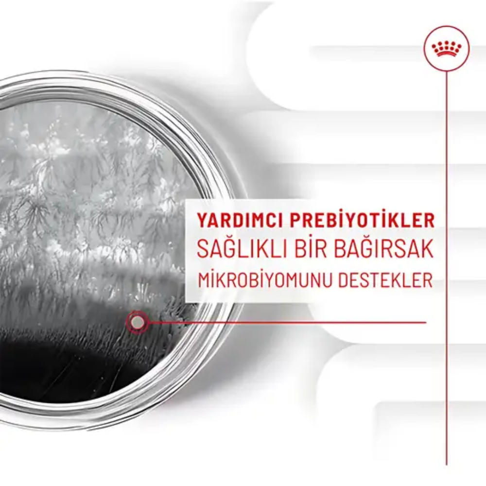 Royal Canin Deri ve Tüy Sağlığı Destekleyici Yetişkin Köpek Ödül Maması 240gr