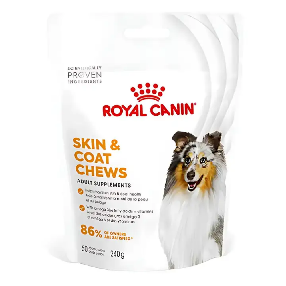 Royal Canin Deri ve Tüy Sağlığı Destekleyici Yetişkin Köpek Ödül Maması 240gr