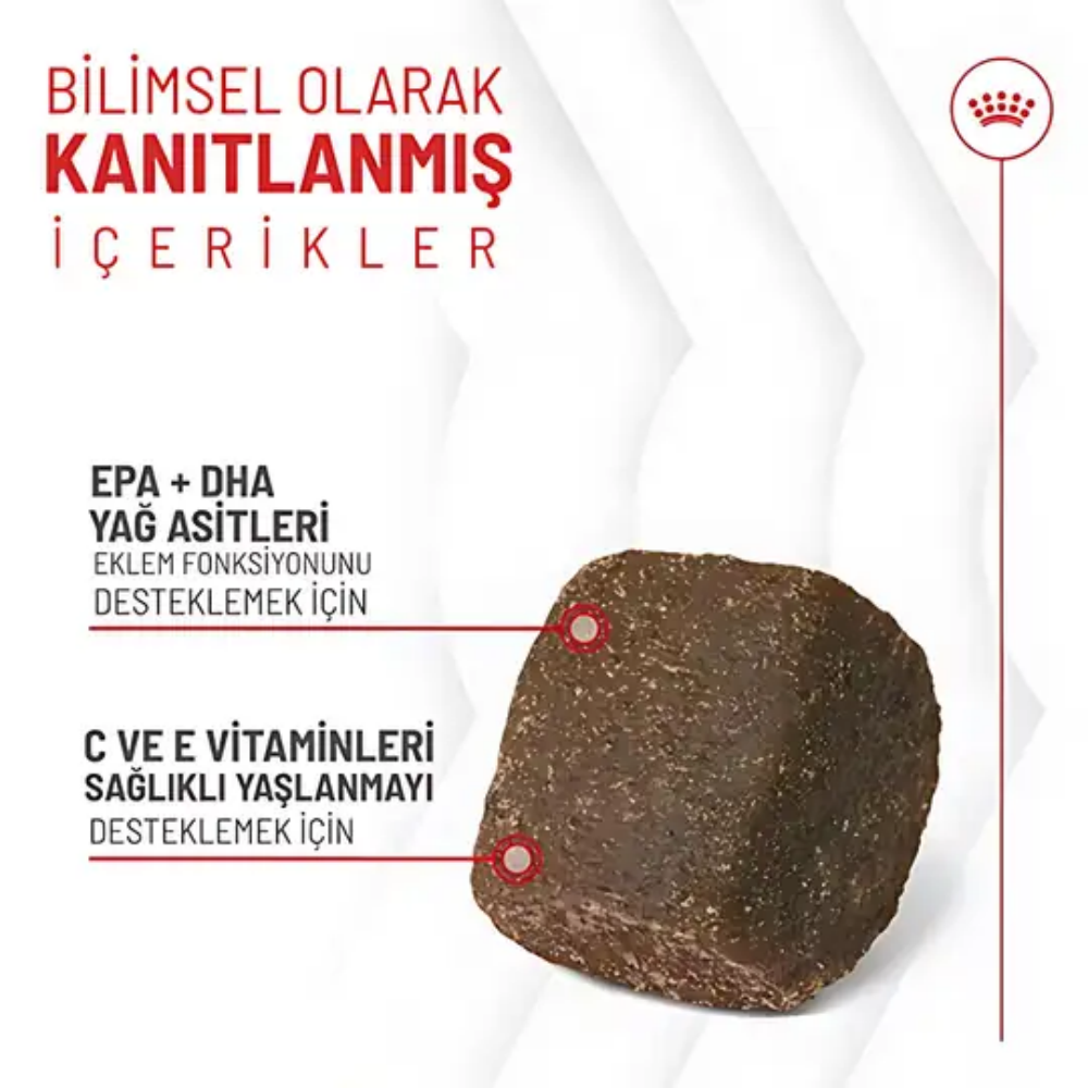 Royal Canin Eklem ve Sağlıklı Yaşlanma Destekli Yetişkin Köpek Ödül Maması 240gr