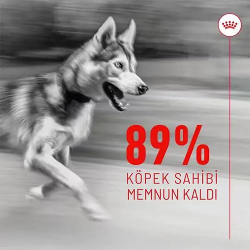 Royal Canin Eklem ve Sağlıklı Yaşlanma Destekli Yetişkin Köpek Ödül Maması 240gr