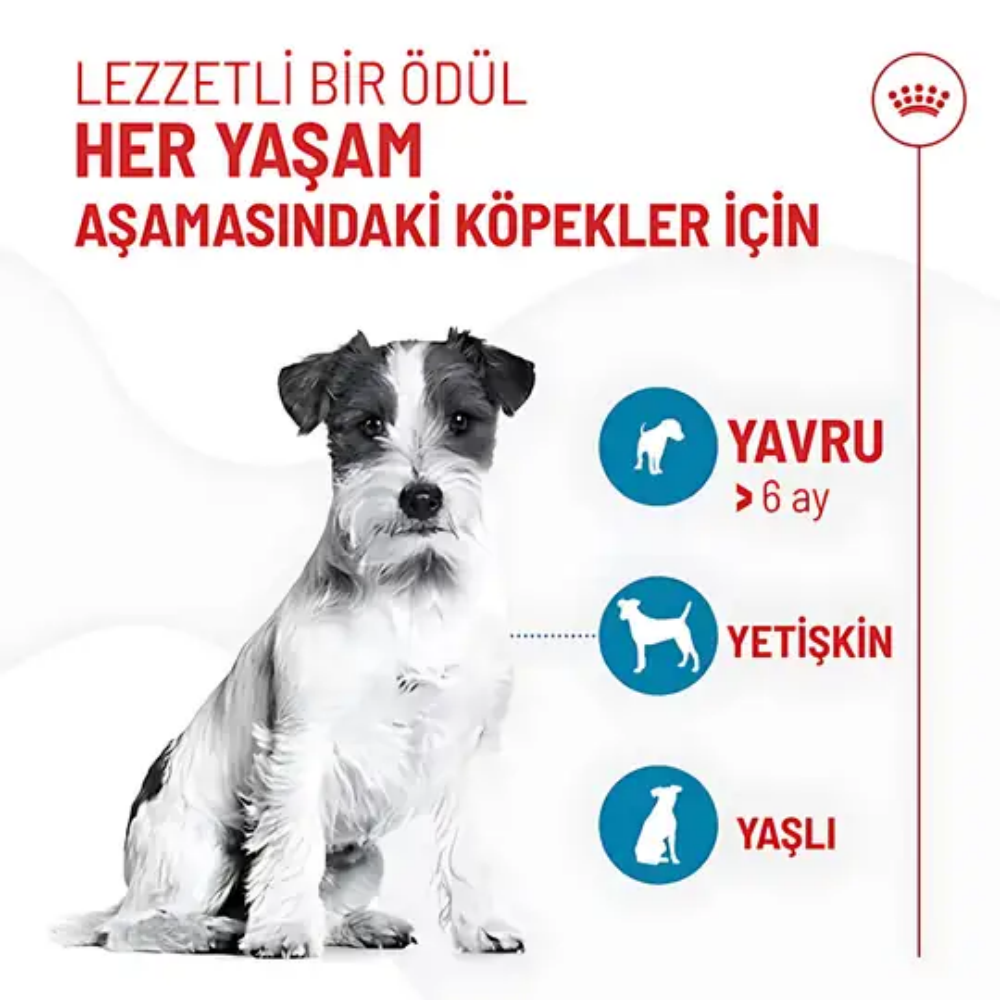 Royal Canin Eğitim İçin Yavru Köpek Ödül Maması 110gr