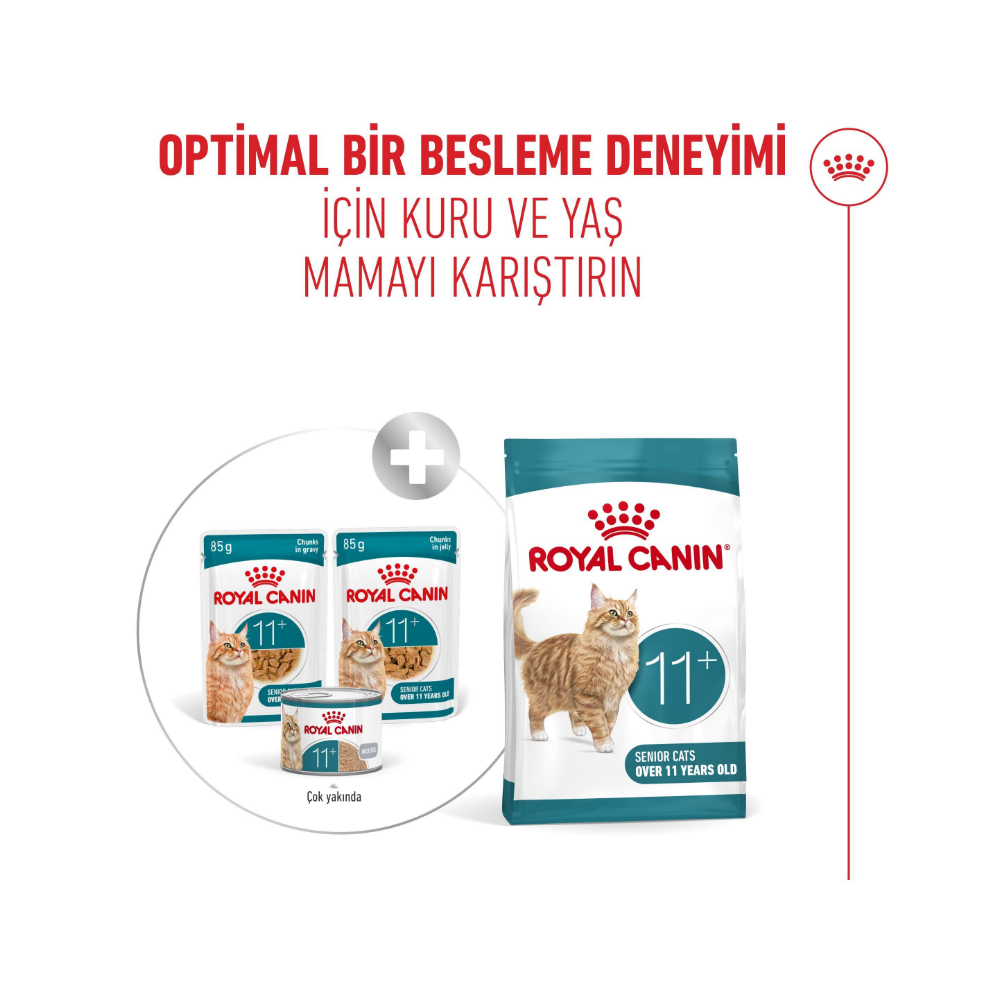 Royal Canin Healthy Ageing +11 Gravy Yaşlı Kedi Yaş Maması