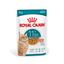 Royal Canin Healthy Ageing +11 Gravy Yaşlı Kedi Yaş Maması