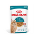 Royal Canin Healthy Ageing +11 Gravy Yaşlı Kedi Yaş Maması