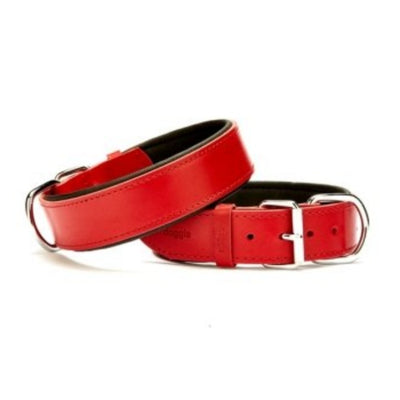 Doggie Konfor Deri Boyun Tasması Kırmızı 4X57-65Cm