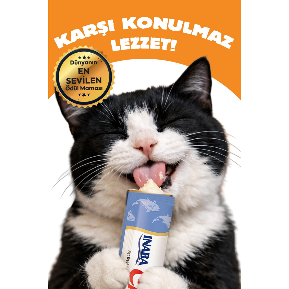 Inaba Ciao Chicken Stew Tavuk Güveçli Pate 40 Gr