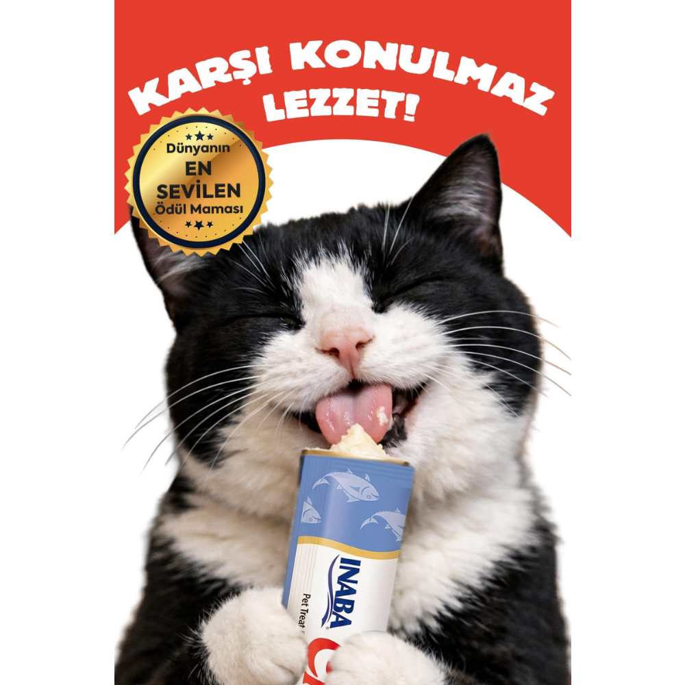 Inaba Ciao Chicken Stew Tavuk Güveç ve Peynirli Pate 40 Gr