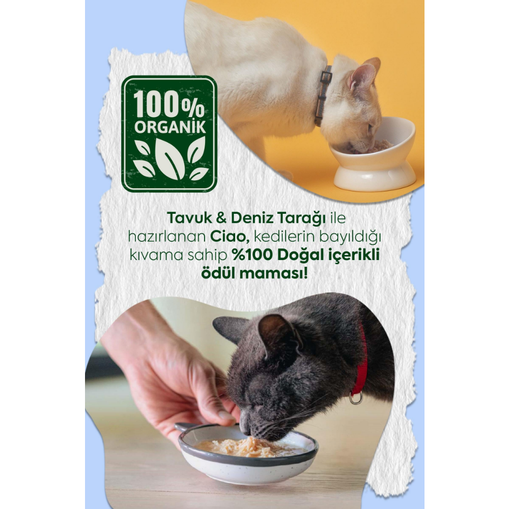 Inaba Ciao Chicken Broth Tavuk Sulu ve Deniz Taraklı Kedi Çorbası 50 Gr
