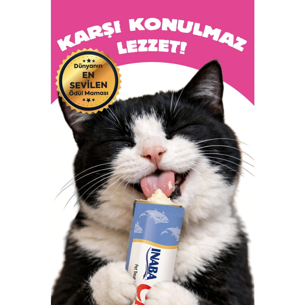 Inaba Ciao Chicken Broth Tavuk Sulu ve Somonlu Kedi Çorbası 50 Gr