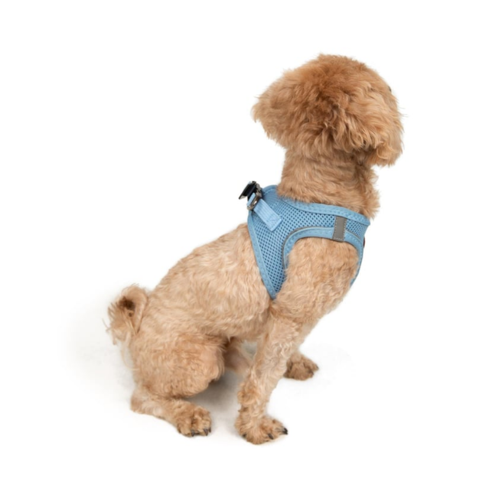 TailPetz Airmesh Blue Köpek Göğüs Tasması 3XS