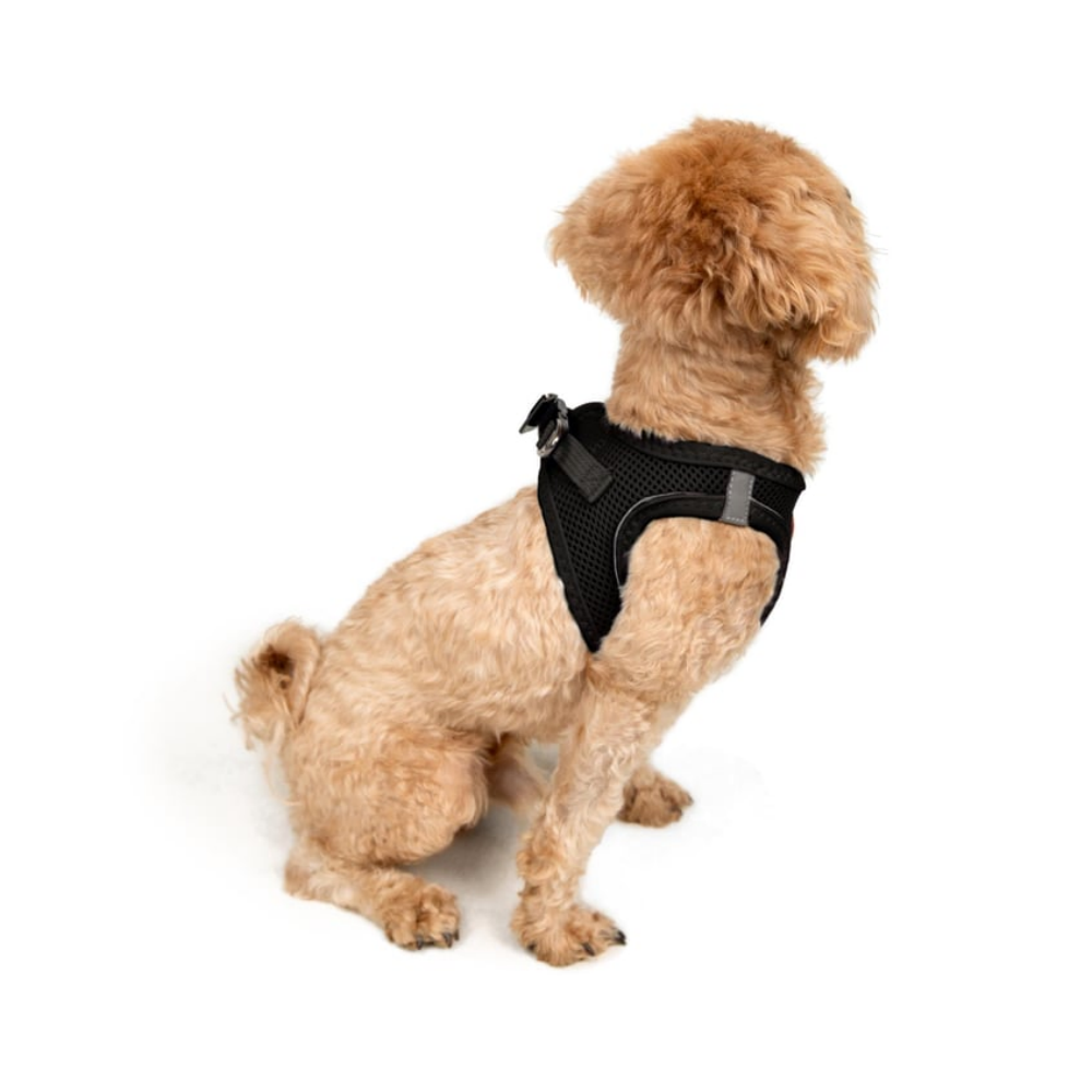 TailPetz Airmesh Black Köpek Göğüs Tasması 3XS