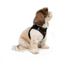 TailPetz Airmesh Black Köpek Göğüs Tasması S